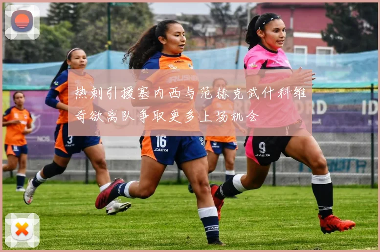 热刺引援塞内西与范赫克武什科维奇欲离队争取更多上场机会
