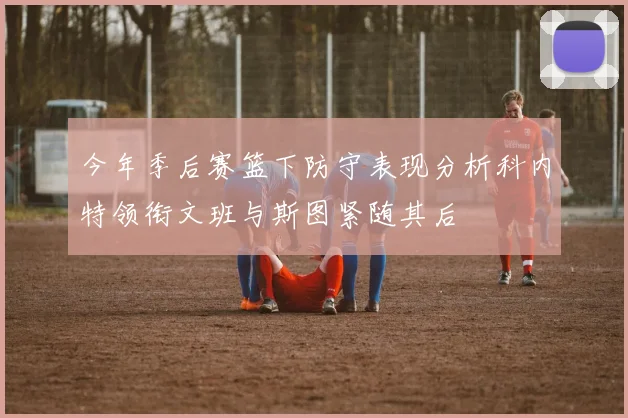 今年季后赛篮下防守表现分析科内特领衔文班与斯图紧随其后