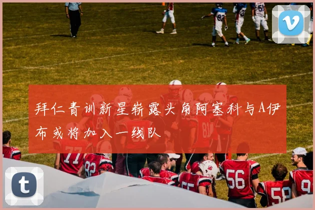 拜仁青训新星崭露头角阿塞科与A伊布或将加入一线队
