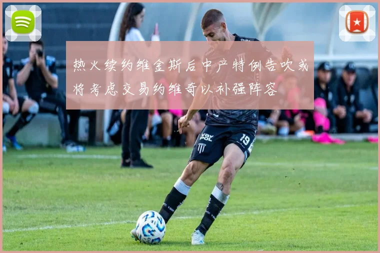 热火续约维金斯后中产特例告吹或将考虑交易约维奇以补强阵容